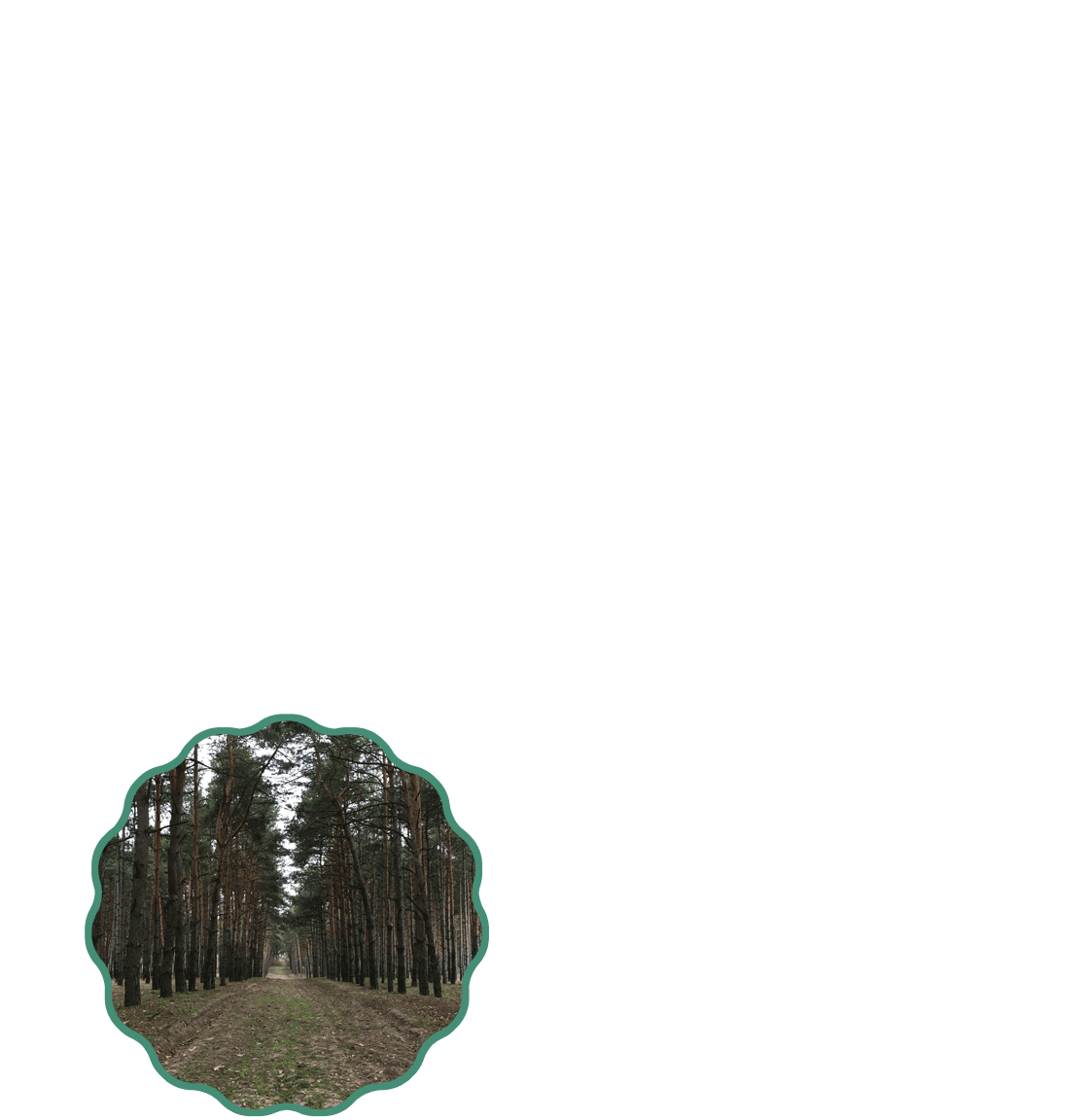 Layer